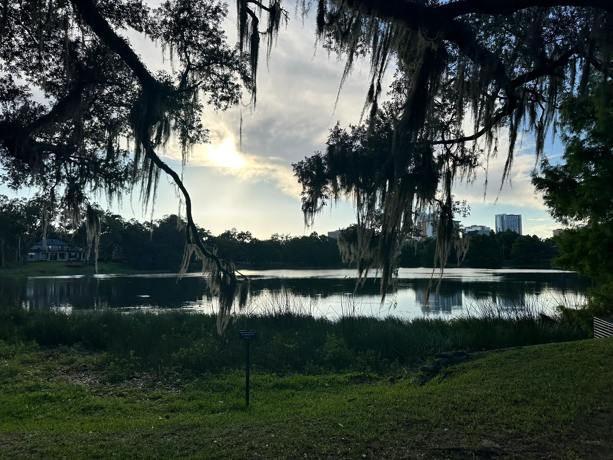Lake Cherokee at golden hour, framed by live oak branches draped in Spanish moss, with the downtown Orlando skyline on the far shore